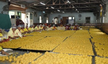 आषाढी यात्रेसाठी ११ लाख बुंदी लाडू प्रसादाची निर्मिती - कार्यकारी अधिकारी राजेंद्र शेळके यांची माहिती
