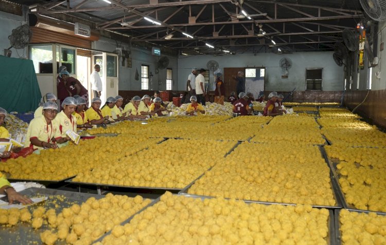 आषाढी यात्रेसाठी ११ लाख बुंदी लाडू प्रसादाची निर्मिती - कार्यकारी अधिकारी राजेंद्र शेळके यांची माहिती