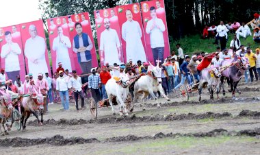 कल्याणराव काळे यांच्या वाढदिवसानिमित्त भाळवणी येथे रंगला बैलगाडा शर्यतीचा थरार