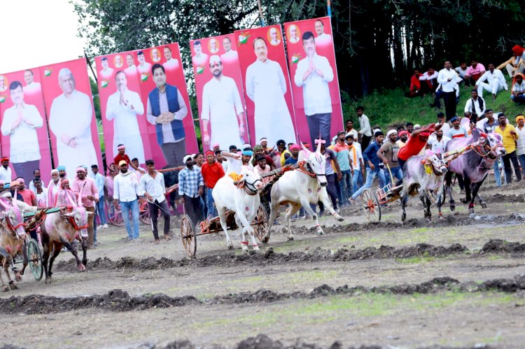 कल्याणराव काळे यांच्या वाढदिवसानिमित्त भाळवणी येथे रंगला बैलगाडा शर्यतीचा थरार
