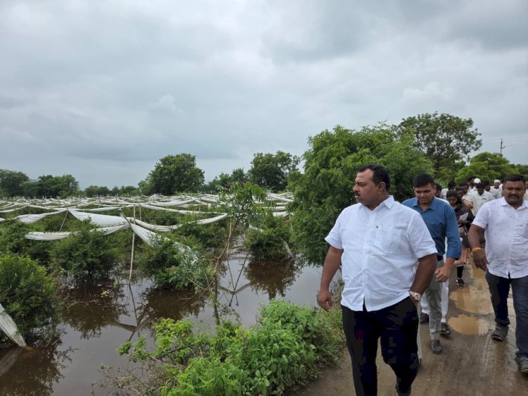 अतिवृष्टीमुळे पंढरपूर तालुक्यातील  शेतकऱ्यांची पिके पाण्याखाली ;आ.समाधान आवताडे यांनी केली पाहणी