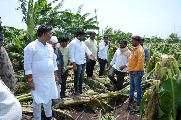 आ.अभिजीत पाटील यांचेकडून शेतकऱ्यांना धीर ; वादळी वाऱ्यामुळे नुकसान  झालेल्या पिकांची केली पाहण  